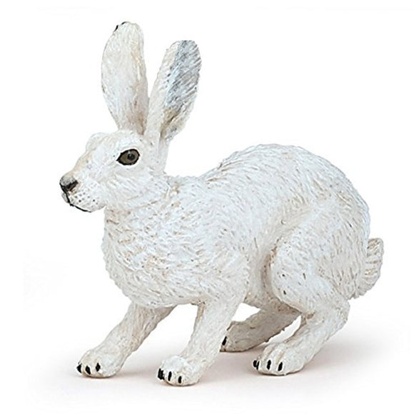 Arctic Hare 2